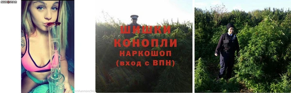 круглые Армянск