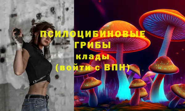 МДМА Арсеньев