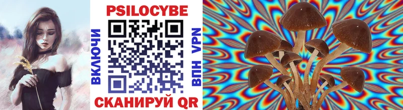 shop телеграм купить сайты Бузулук Псилоцибиновые грибы Magic Shrooms